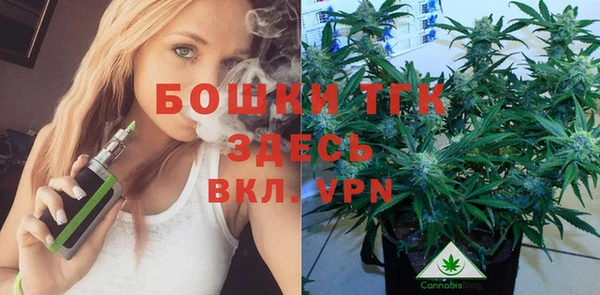 дмт Верея