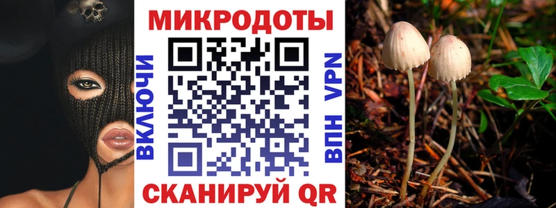 Галлюциногенные грибы Psilocybine cubensis  Джанкой 